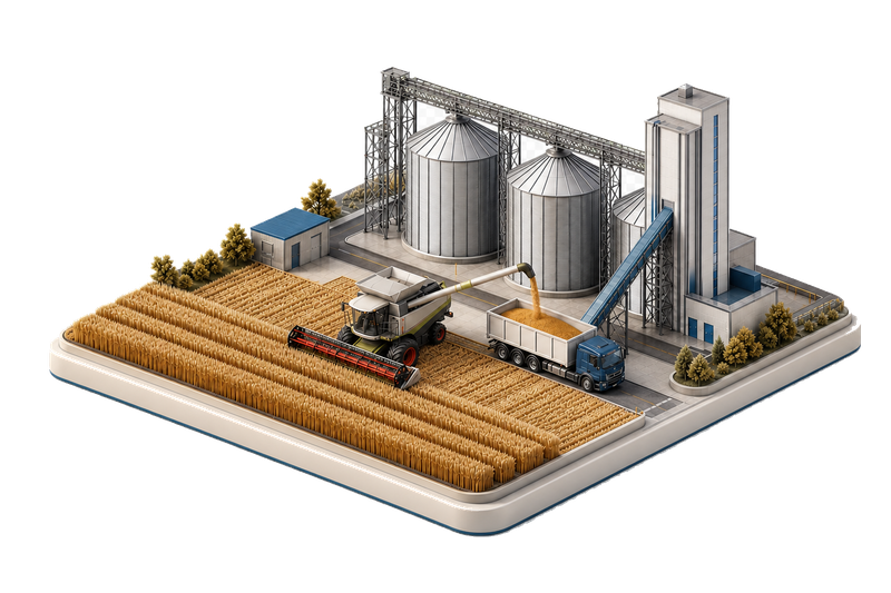 Premium wheat harvest